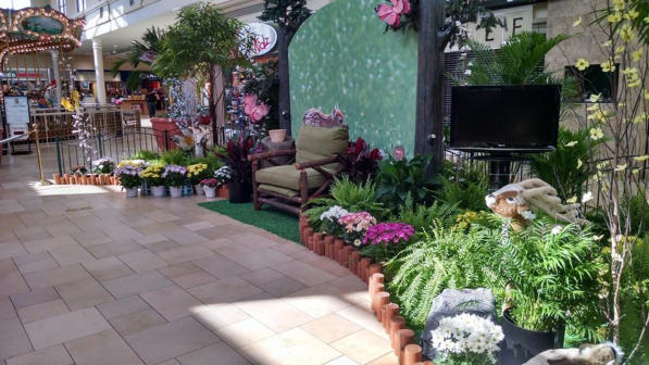 Short term plant leasing for special events